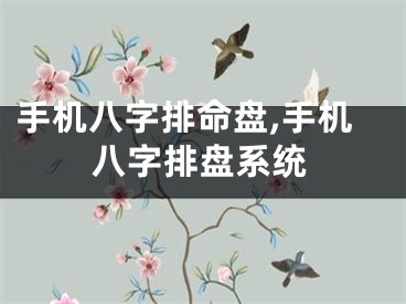 手机八字排命盘,手机八字排盘系统