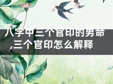 八字中三个官印的男命,三个官印怎么解释