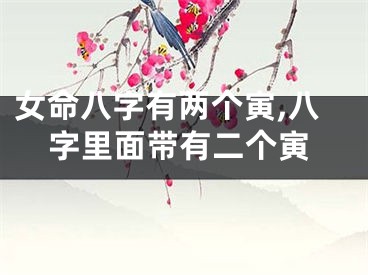 女命八字有两个寅,八字里面带有二个寅