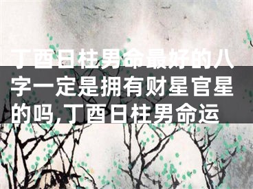 丁酉日柱男命最好的八字一定是拥有财星官星的吗,丁酉日柱男命运