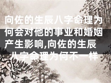 向佐的生辰八字命理为何会对他的事业和婚姻产生影响,向佐的生辰八字命理为何不一样