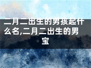 二月二出生的男孩起什么名,二月二出生的男宝