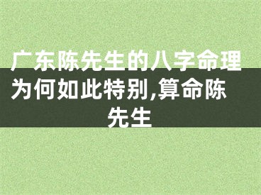 广东陈先生的八字命理为何如此特别,算命陈先生