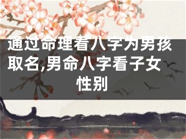 通过命理看八字为男孩取名,男命八字看子女性别