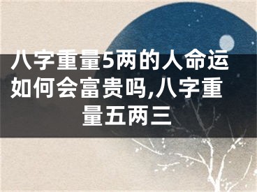 八字重量5两的人命运如何会富贵吗,八字重量五两三