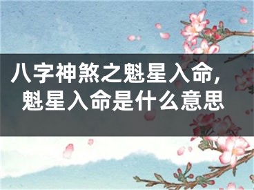八字神煞之魁星入命,魁星入命是什么意思