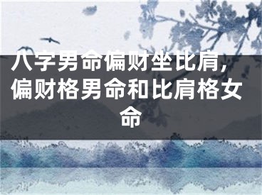 八字男命偏财坐比肩,偏财格男命和比肩格女命