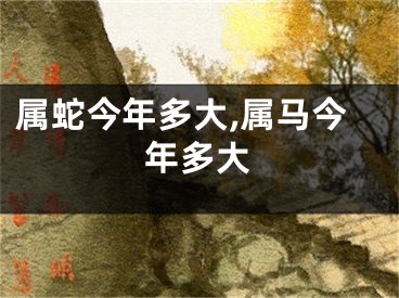 属蛇今年多大,属马今年多大