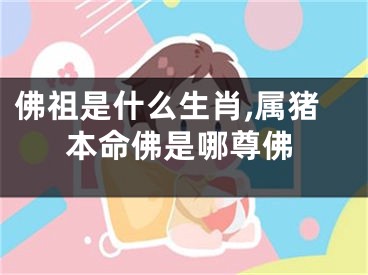 佛祖是什么生肖,属猪本命佛是哪尊佛