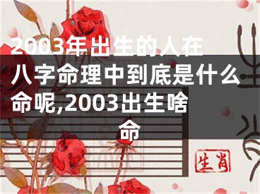 2003年出生的人在八字命理中到底是什么命呢,2003出生啥命