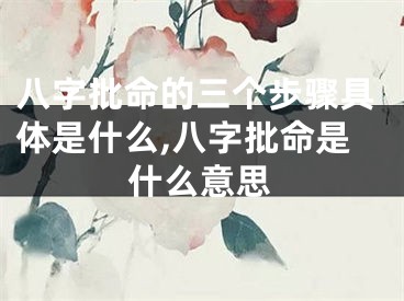 八字批命的三个步骤具体是什么,八字批命是什么意思