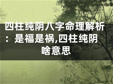 四柱纯阴八字命理解析：是福是祸,四柱纯阴啥意思