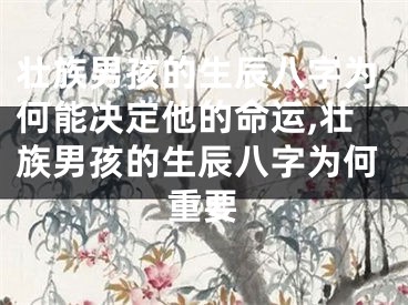 壮族男孩的生辰八字为何能决定他的命运,壮族男孩的生辰八字为何重要