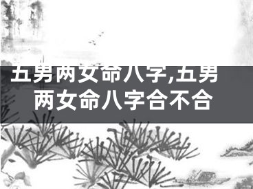 五男两女命八字,五男两女命八字合不合