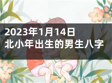 2023年1月14日北小年出生的男生八字