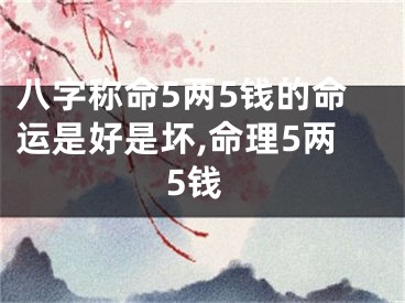 八字称命5两5钱的命运是好是坏,命理5两5钱