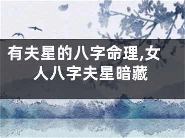 有夫星的八字命理,女人八字夫星暗藏