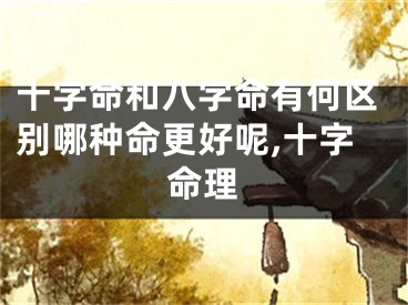 十字命和八字命有何区别哪种命更好呢,十字命理