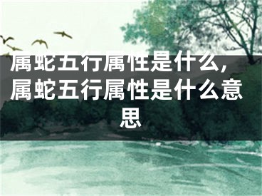 属蛇五行属性是什么,属蛇五行属性是什么意思