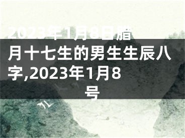 2023年1月8日腊月十七生的男生生辰八字,2023年1月8号