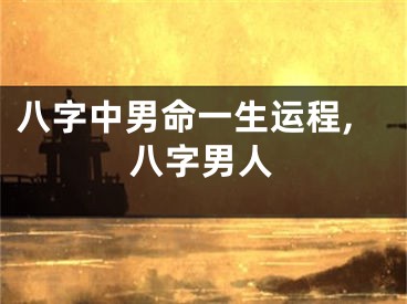 八字中男命一生运程,八字男人