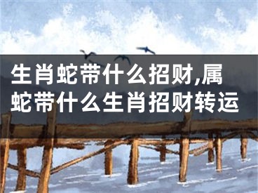 生肖蛇带什么招财,属蛇带什么生肖招财转运