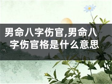 男命八字伤官,男命八字伤官格是什么意思