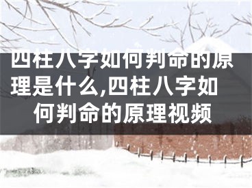 四柱八字如何判命的原理是什么,四柱八字如何判命的原理视频