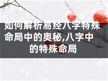 如何解析易经八字特殊命局中的奥秘,八字中的特殊命局
