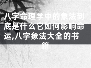 八字命理学中的象法到底是什么它如何影响命运,八字象法大全的书籍