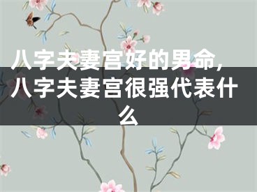 八字夫妻宫好的男命,八字夫妻宫很强代表什么