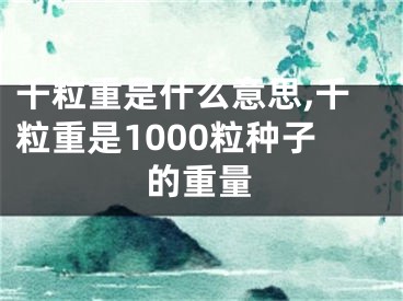 千粒重是什么意思,千粒重是1000粒种子的重量