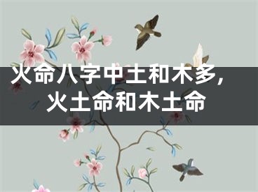 火命八字中土和木多,火土命和木土命