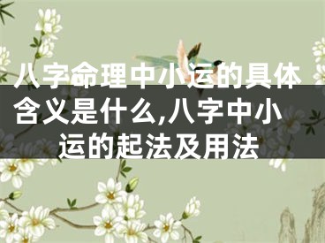 八字命理中小运的具体含义是什么,八字中小运的起法及用法