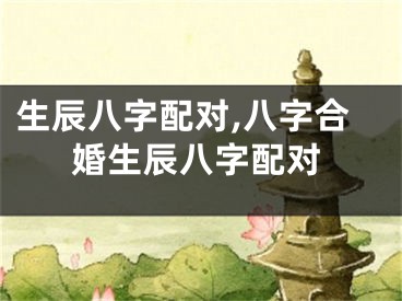 生辰八字配对,八字合婚生辰八字配对