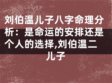 刘伯温儿子八字命理分析：是命运的安排还是个人的选择,刘伯温二儿子