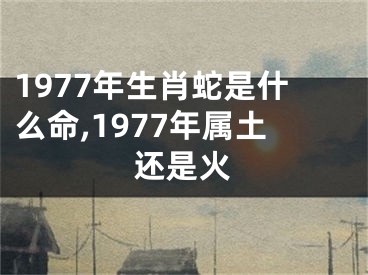 1977年生肖蛇是什么命,1977年属土还是火