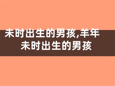 未时出生的男孩,羊年未时出生的男孩