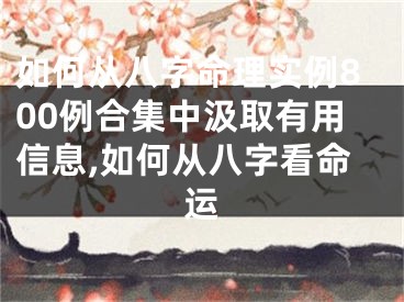 如何从八字命理实例800例合集中汲取有用信息,如何从八字看命运