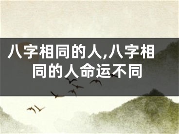 八字相同的人,八字相同的人命运不同