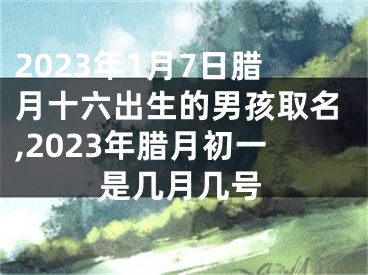 2023年1月7日腊月十六出生的男孩取名,2023年腊月初一是几月几号