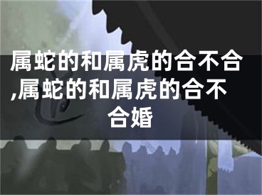 属蛇的和属虎的合不合,属蛇的和属虎的合不合婚