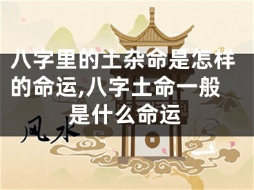 八字里的土杂命是怎样的命运,八字土命一般是什么命运