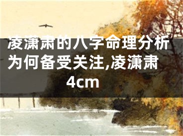 凌潇肃的八字命理分析为何备受关注,凌潇肃4cm