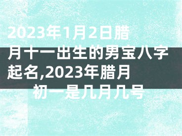 2023年1月2日腊月十一出生的男宝八字起名,2023年腊月初一是几月几号