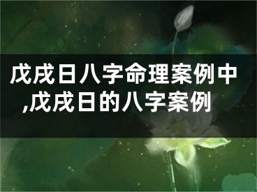 戊戌日八字命理案例中,戊戌日的八字案例