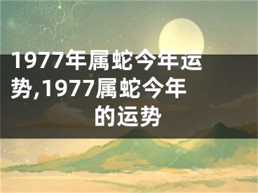1977年属蛇今年运势,1977属蛇今年的运势