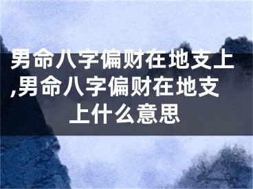 男命八字偏财在地支上,男命八字偏财在地支上什么意思