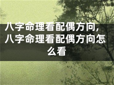 八字命理看配偶方向,八字命理看配偶方向怎么看