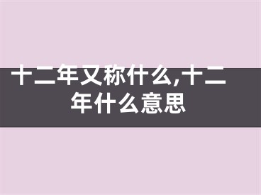 十二年又称什么,十二年什么意思